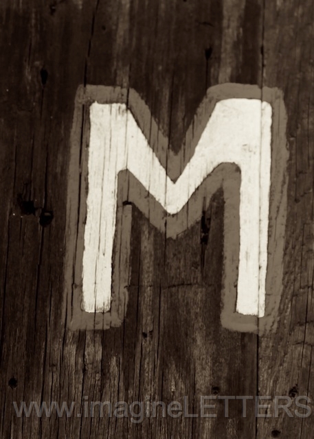 Wall_Art_Alphabet_Photography_Art_ 1419.jpg